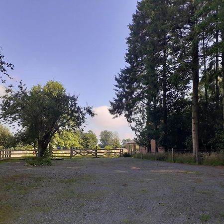 Les Gites Du Chateau De Maltot Saint-Ouen-du-Breuil Kültér fotó
